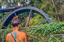 Tigoni Tea Farm Tours