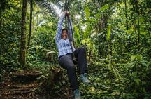 3-Day Amazon Rainforest Tour from Iquitos