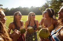 Port of Spain City Tour Historical Architecture and Local Treats