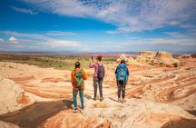 White Pocket 4x4 Vehicle Tour: 8 Hours