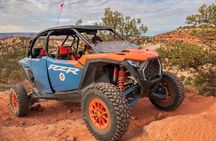 YOU DRIVE!! 8 Hr White Pocket UTV Tour