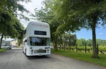 Auckland: Waiheke Wine Tour: 4 Vineyards, Local Guide, Great Day