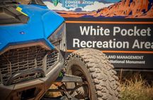 YOU DRIVE!! 8 Hr White Pocket UTV Tour