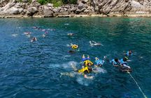 Koh Nang Yuan and Koh Tao 5 Point Snorkeling Tour