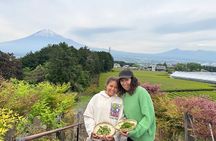 Mount Fuji Private Tour from Shimizu Port | Shore Excursion