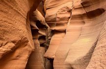 Upper Antelope Canyon & Horseshoe Bend Tour from Las Vegas