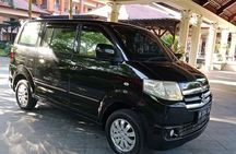 Bali Full Day Private Car Charter with Professional Driver