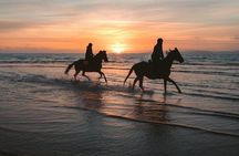 Horseback Riding on Casablanca Beach