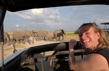 Day Tour to Amboseli National Park from Nairobi