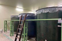 Japanese Sake Brewery Visit and Tasting in Kanagawa