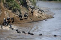 3 Day Masai Mara National Reserve Safari Mid Range
