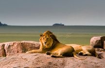  3 Day Flyin/Flyout of Zanzibar Tarangire, Ngorongoro & Manyara 