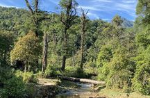Full Day Trek to Fansipan Peak With Local Guide