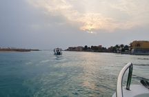 Red Sea Daily Scuba Diving Trip for Certified Divers