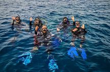 Red Sea Daily Scuba Diving Trip for Certified Divers
