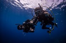 Red Sea Daily Scuba Diving Trip for Certified Divers