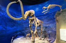 Drumheller & Hoodoos Private Luxury guided Day Tour from Calgary