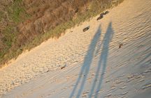 Full Day Private Professional Photo/Video Tour in Honolulu Island