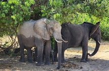 4 Days in Hide Safari Lodge Hwange National Park