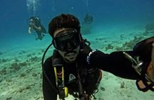 Hurghada Scuba Diving Trip 2 Dive Stop Lunch With Transfers