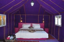 Merzouga Overnight Stay in Berber Tent and Camel Ride