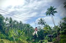 Ubud Zipline,Alas Harum and Waterfall Tour with Private Car, Bali