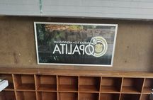 Cultural experience in the Archaeological Zone of Copalita