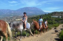 Horseback Riding in Taurus Mountains: Forest Sea Views 2.5 Hours