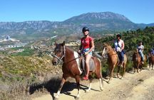 Horseback Riding in Taurus Mountains: Forest Sea Views 2.5 Hours