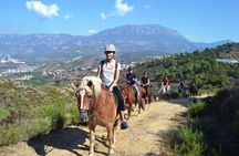 Horseback Riding in Taurus Mountains: Forest Sea Views 2.5 Hours