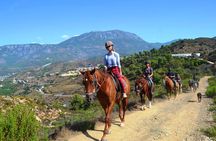 Horseback Riding in Taurus Mountains: Forest Sea Views 2.5 Hours