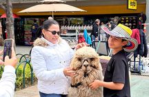 Bogotá's Historic Walking Tour: Plaza de Bolívar & La Candelaria