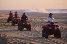Cabo Dual Adventure: ATV Thrill + Camel Ride Bliss