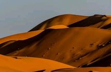 Sunset camel trekking Merzouga desert and sandboarding
