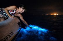 Sunset Boat Tour & Bioluminescence Adventure at Los Arcos Islands