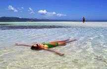 Key Arena Snorkeling Tour Lunch and Mangroves