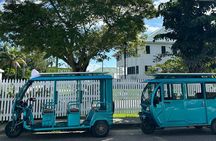 Art and Storytelling TukTuk Tour Beautiful Belize City