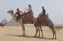Full day Grand Egyptian Museum(Gem)&pyramids of giza&free Camel