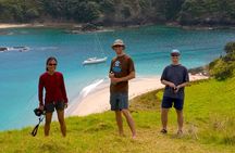 Awesome Bay of Islands Day Sailing Adventure