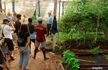 Explore Real Cabarete Food, Art and Local Stories