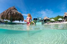 Roatán Private Tour: Sloths, Beach, Rum Tasting & Chocolate
