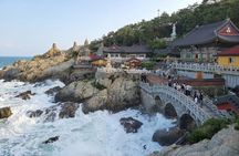 Busan: Small Group With Hotel Pickup, Cable Car, Local Guide