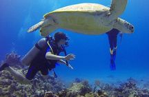 Sharm El Sheikh Ras Mohammed National Park Snorkeling Adventure