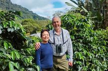 Mindo Full Day from Quito