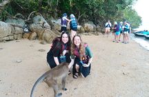 Phuket Jet Ski Island Hopping Tour Islands and Monkey Beach