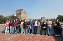 Mexico City : Frida Kahlo, Xochimilco & Coyoacán Tour