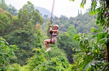 Tree Bridge Zipline Rainforest Canopy Experience from Koh Samui