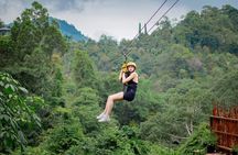 Tree Bridge Zipline Rainforest Canopy Experience from Koh Samui