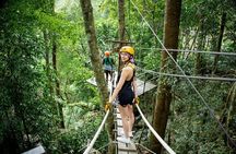 Tree Bridge Zipline Rainforest Canopy Experience from Koh Samui