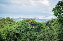 Tree Bridge Zipline Rainforest Canopy Experience from Koh Samui